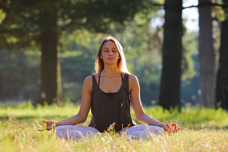 Meditation and Yoga Embodied Spirituality